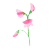画像に alt 属性が指定されていません。ファイル名: %E3%82%B9%E3%82%A4%E3%83%BC%E3%83%88%E3%83%94%E3%83%BCt.png