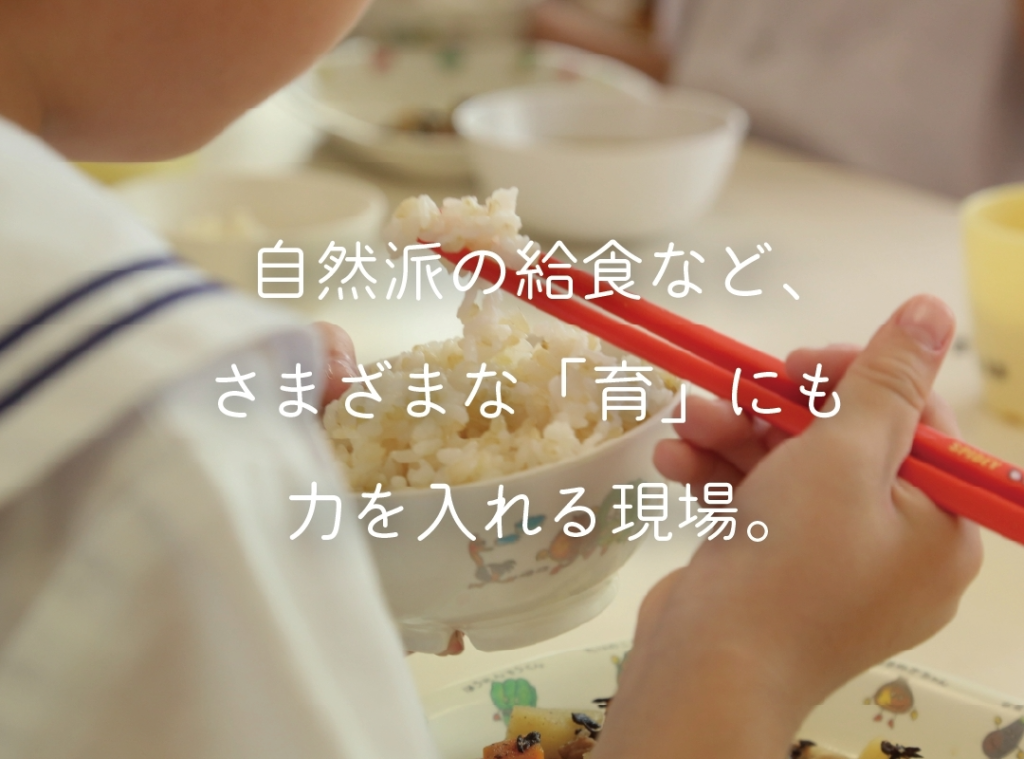 土の子保育園リクルートページ　自然の急所など、さまざまな「育」にも力を入れる現場。